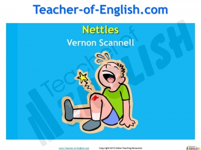 Nettles Teaching Resources