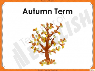 Sentence Dictation 1 - Year 1 teaching resources lessons