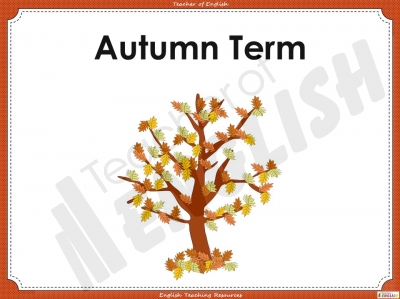 Sentence Dictation 1 - Year 2 teaching resources lessons