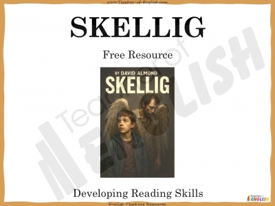 Skellig Free Resource teaching resources lesson