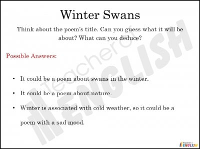 Winter Swans teaching resources lessons