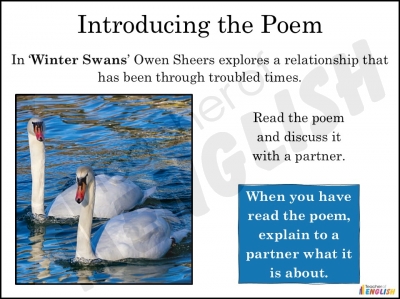 Winter Swans teaching resources lessons