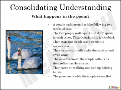 Winter Swans teaching resources lessons